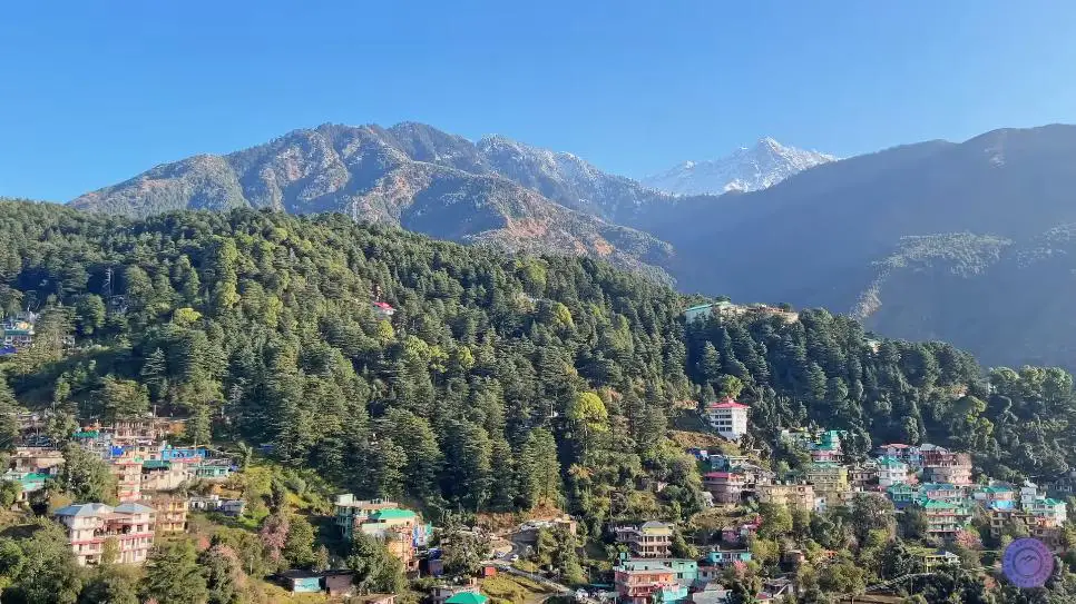 Mcleodganj_Dharamshala_Tourist Places,stay,cafe,guide& budget_Solo trip Himachal Pradesh North India