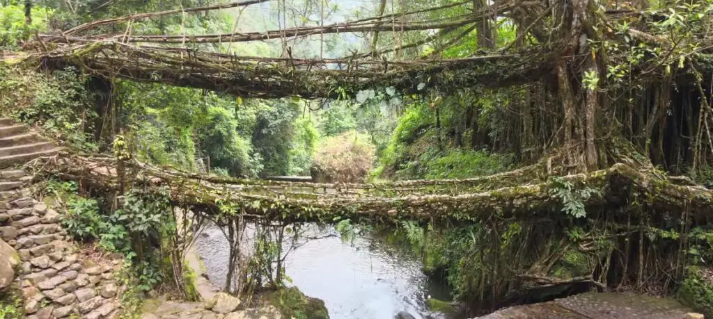 Decker Living Root Bridge Cherrapunji EP 3 _ Meghalaya Tourism Video _ Meghalaya Tour