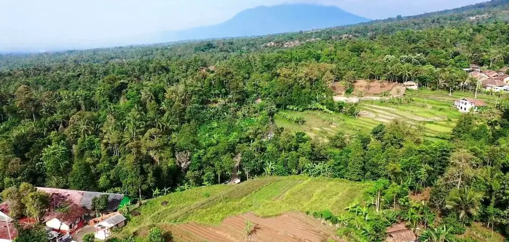 Tribes of India You’ve Never Heard Of _ Hidden Worlds of the Northeast 